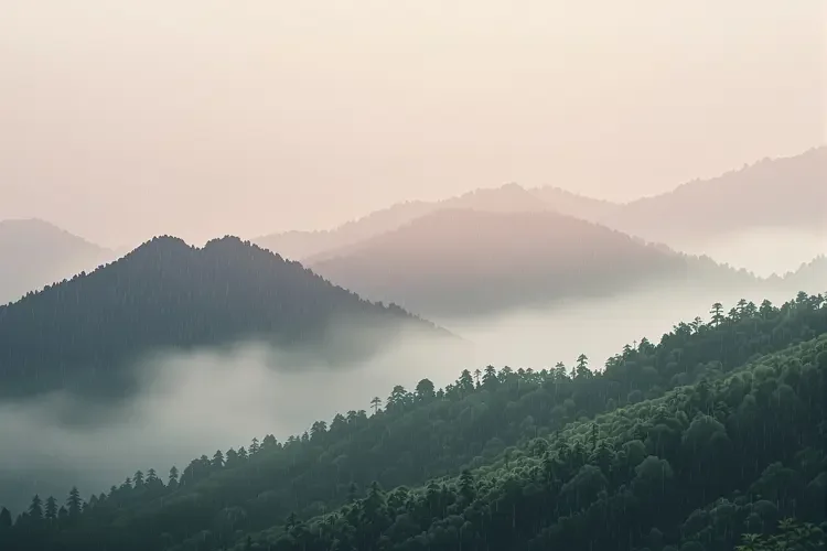 雨润山青 - 68影院专题合集